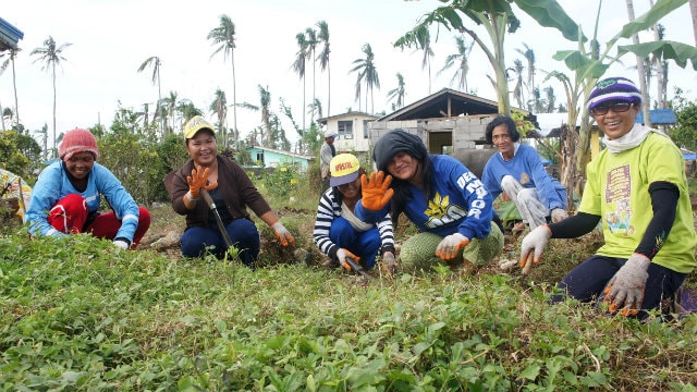 facts about coconuts, coconut farmers