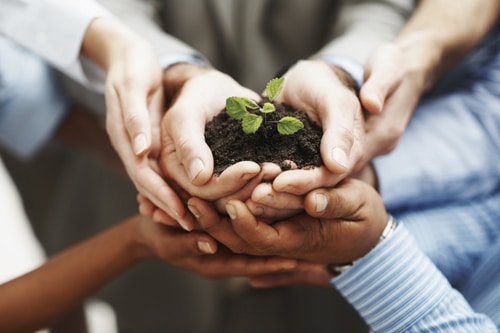 Sustainable Business Model, Team holding a seedling