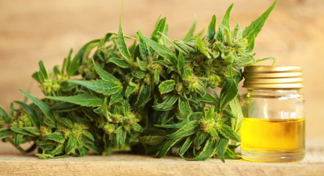 10 Benefits of Hemp Oil Everyone Should Look Into