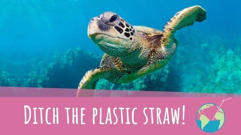 ocean plastic, eco friendly straws, sea turtle