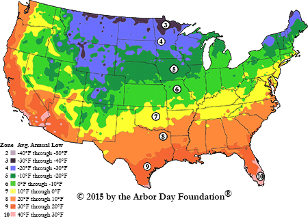 Climate Zone for tree farming