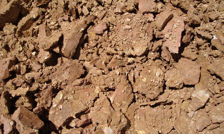 Clay Soil Type