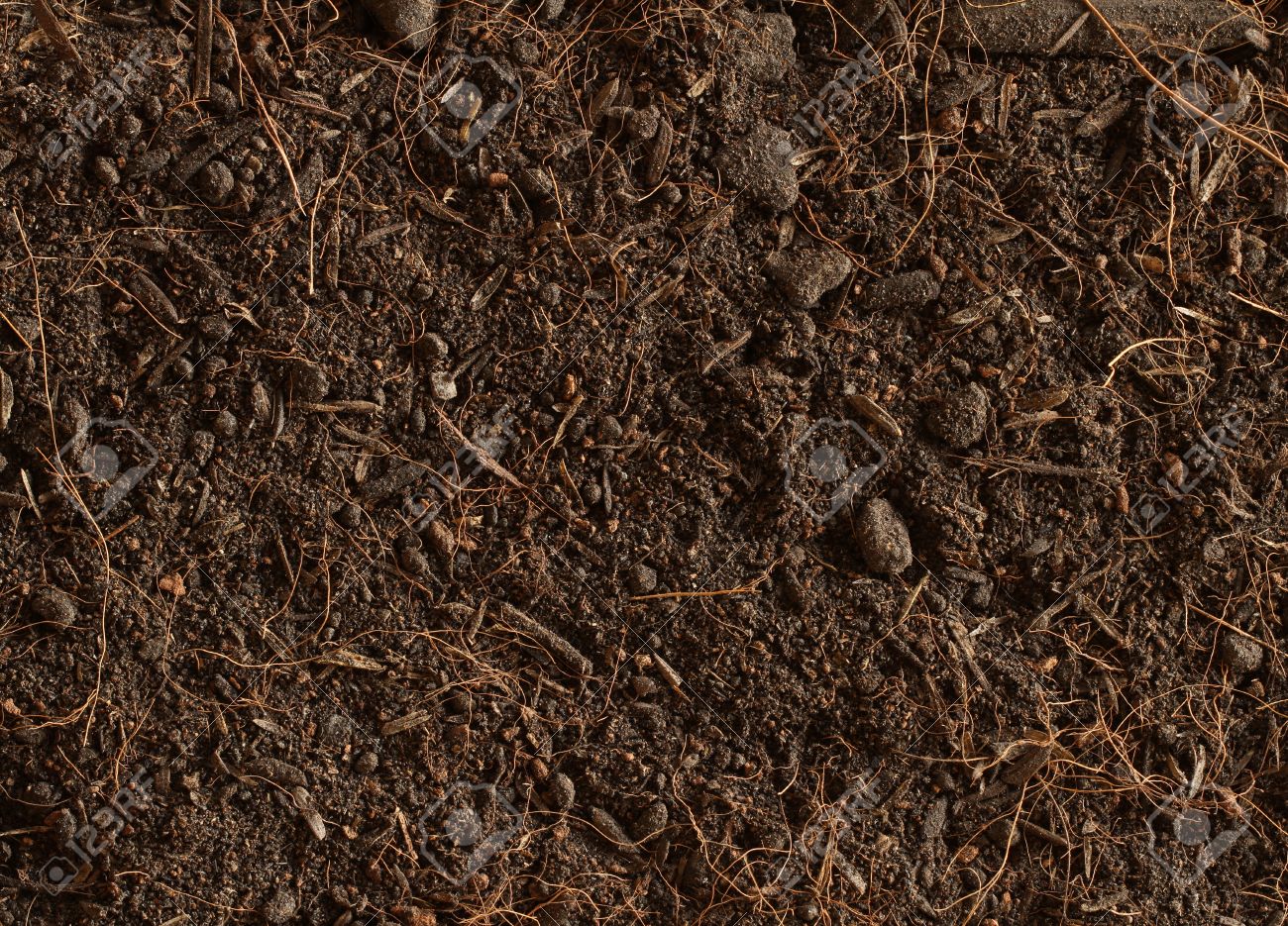 Peat soil