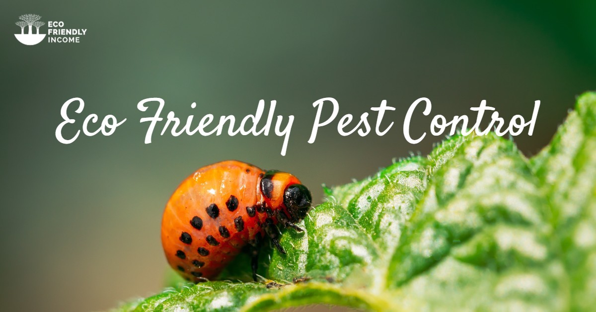 Eco-Friendly Pest Control: Sustainable Solutions