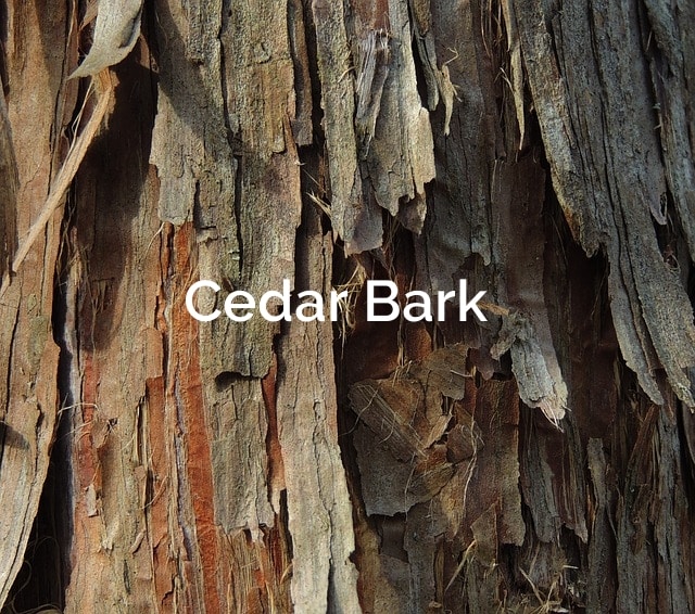 Cedar Bark Fibers