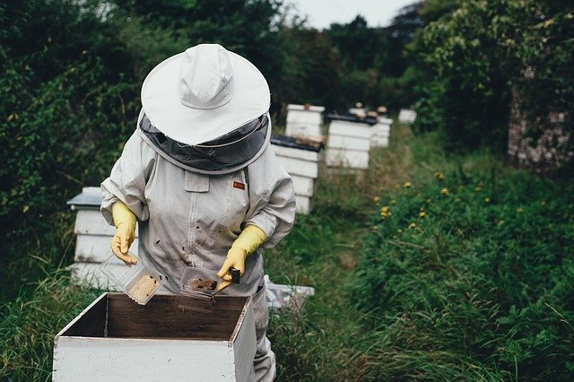 Commercial Bee Hive