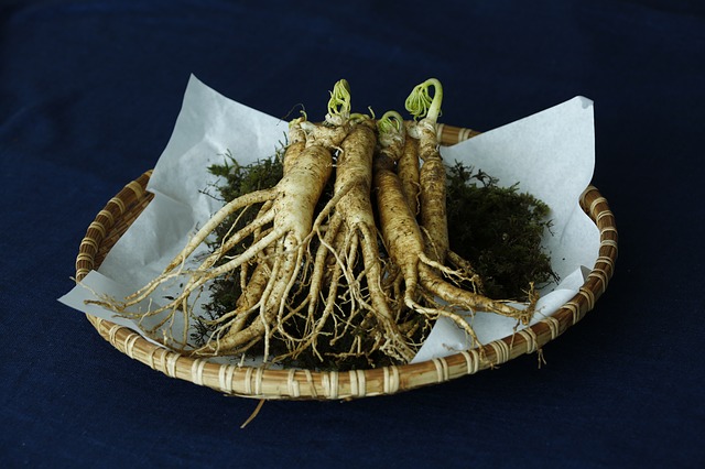 Ginseng Root Medicinal Plant