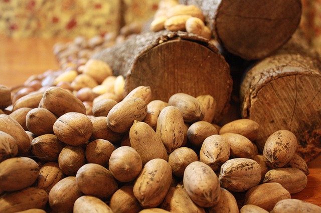 pecan (Carya illinoensis) Non-Timber Forest Product