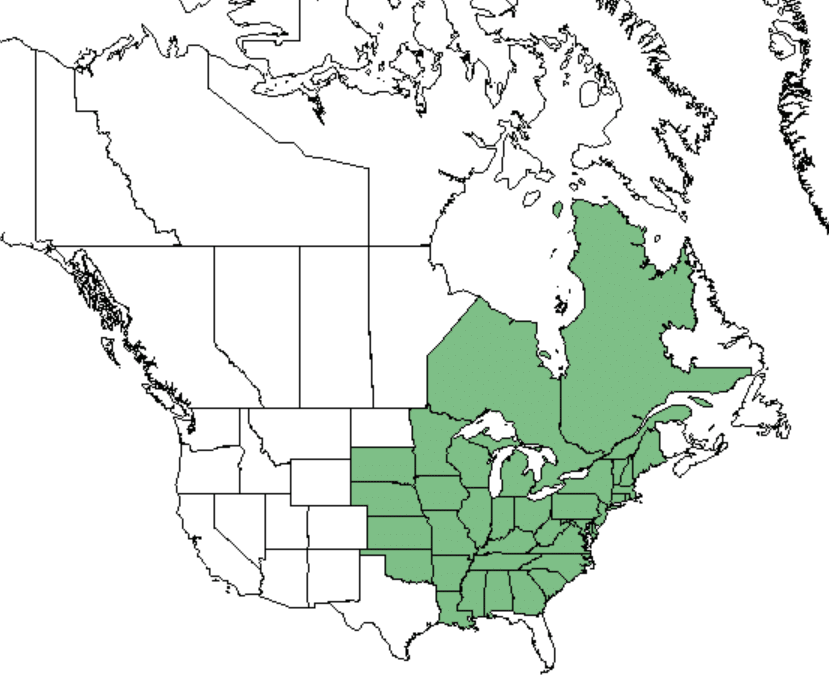 Growing Range of American Ginseng