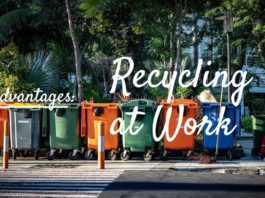 Advantages of Recycling at Work (1)