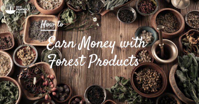 How to Earn Money with Non-Timber Forest Products