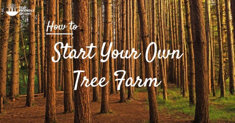 Hybrid Trees: The Tree Farming Guide For Beginners