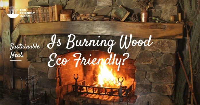 Sustainable Heat Burning Wood Eco Friendly