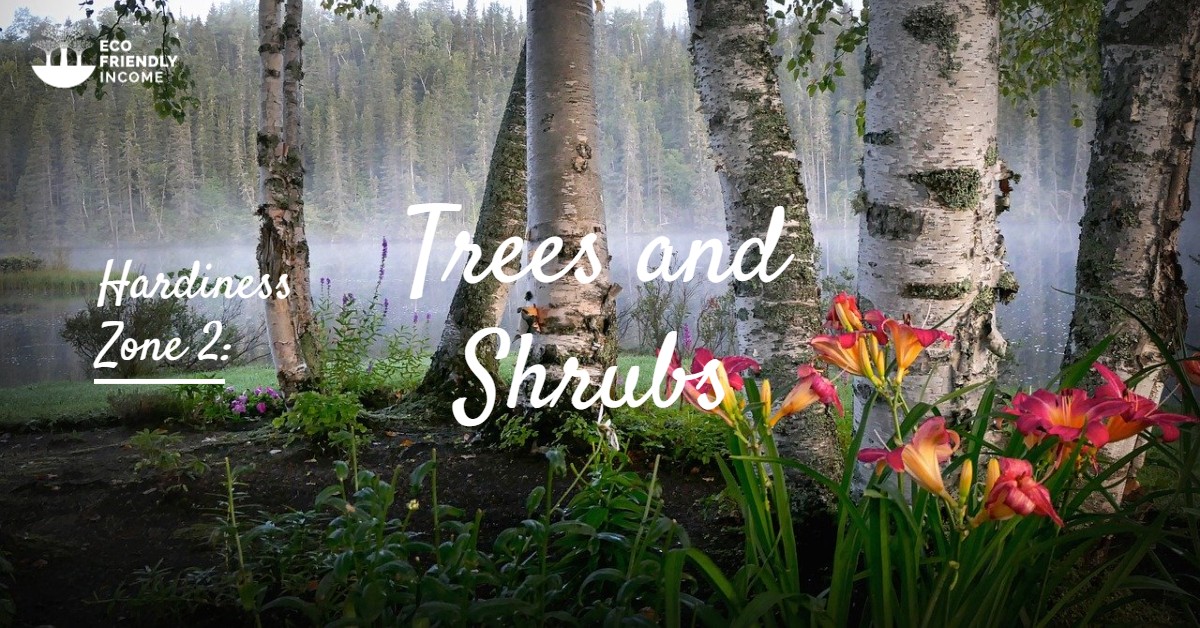 Trees & Shrubs Hardiness Zone 2