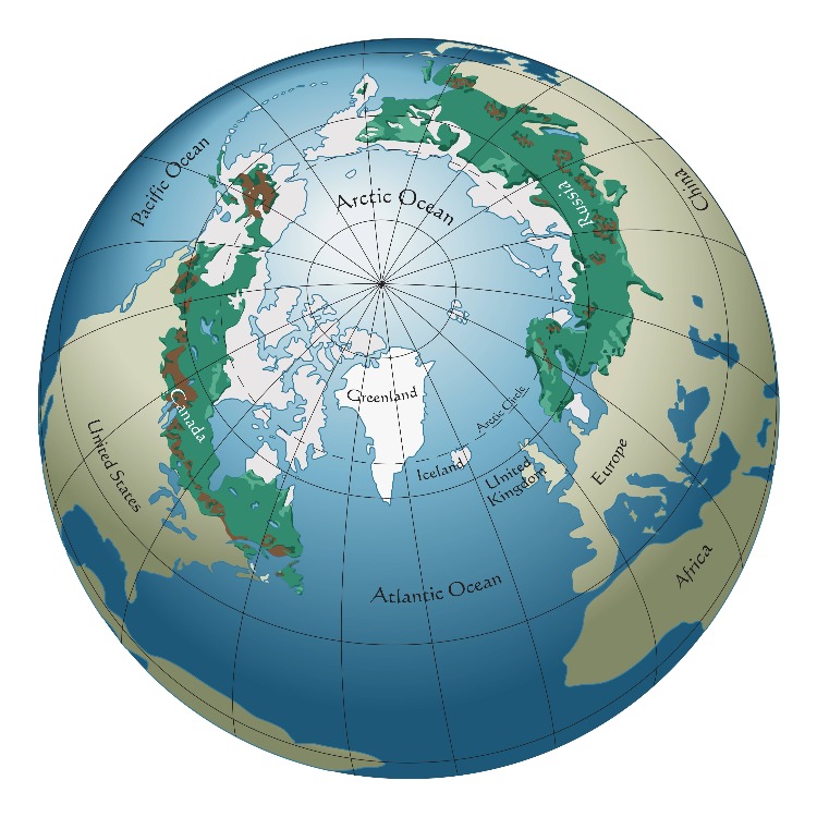 Boreal Forest Map Globe Worldwide Range