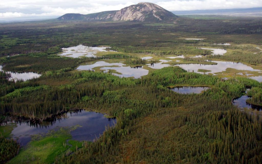 Boreal-Forest-Wetlands