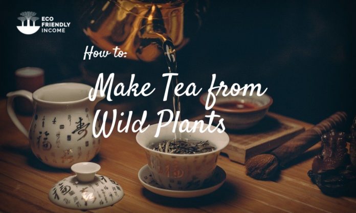 How To Make Tea From Wild Plants