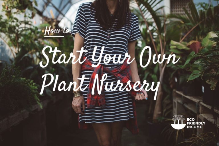 How to Start a Plant Nursery & Become a Green Entrepreneur