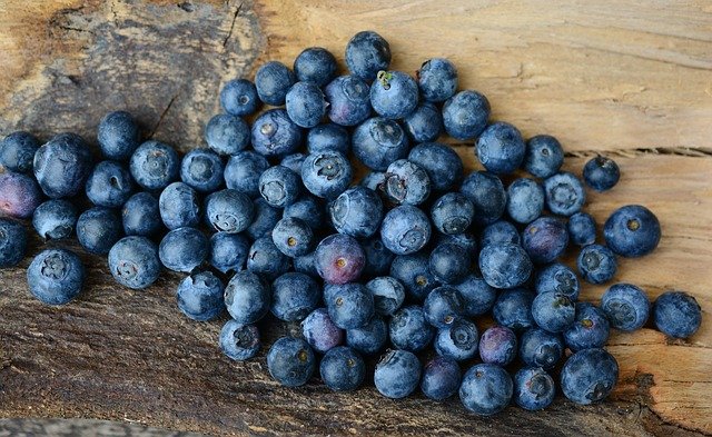 Wild-Tea-Ingredient-Blueberry