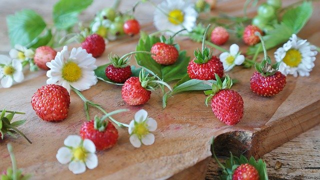 Wild-Tea-Ingredients-Wild-Strawberry