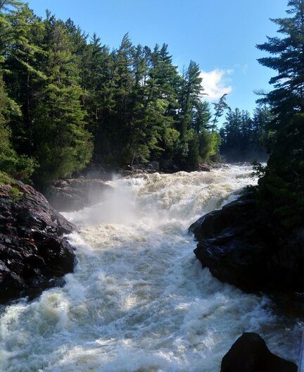 boreal_forest_rapids