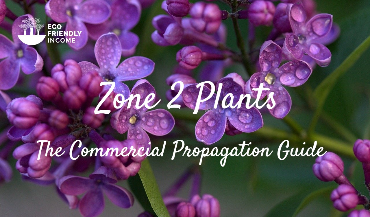 Zone 2 Plants Commercial Propagation Guide
