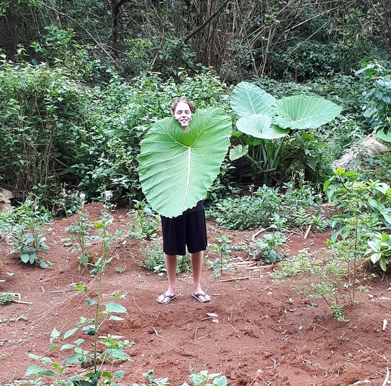 Pascal Pascal Yan Lessard