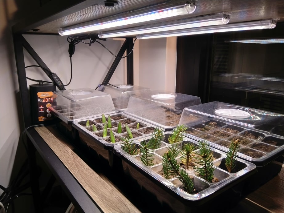 Advanced Propagation Station