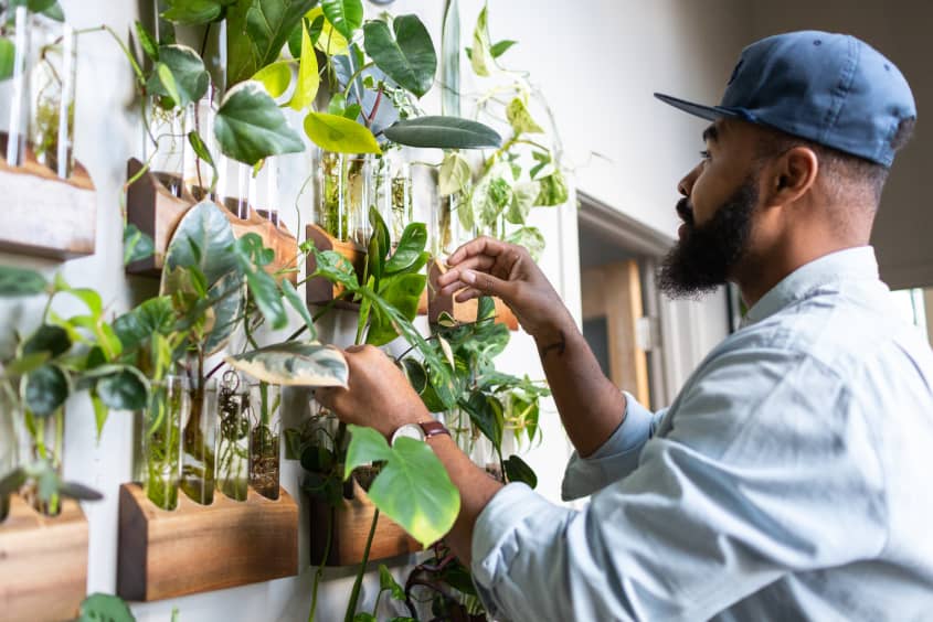 Wall Propagation Station