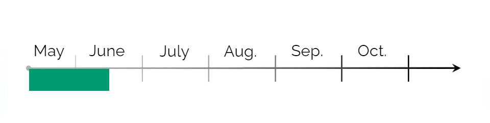 Root Cutting Timing