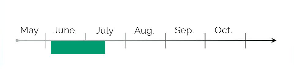 aspen-seed-dispersal-season