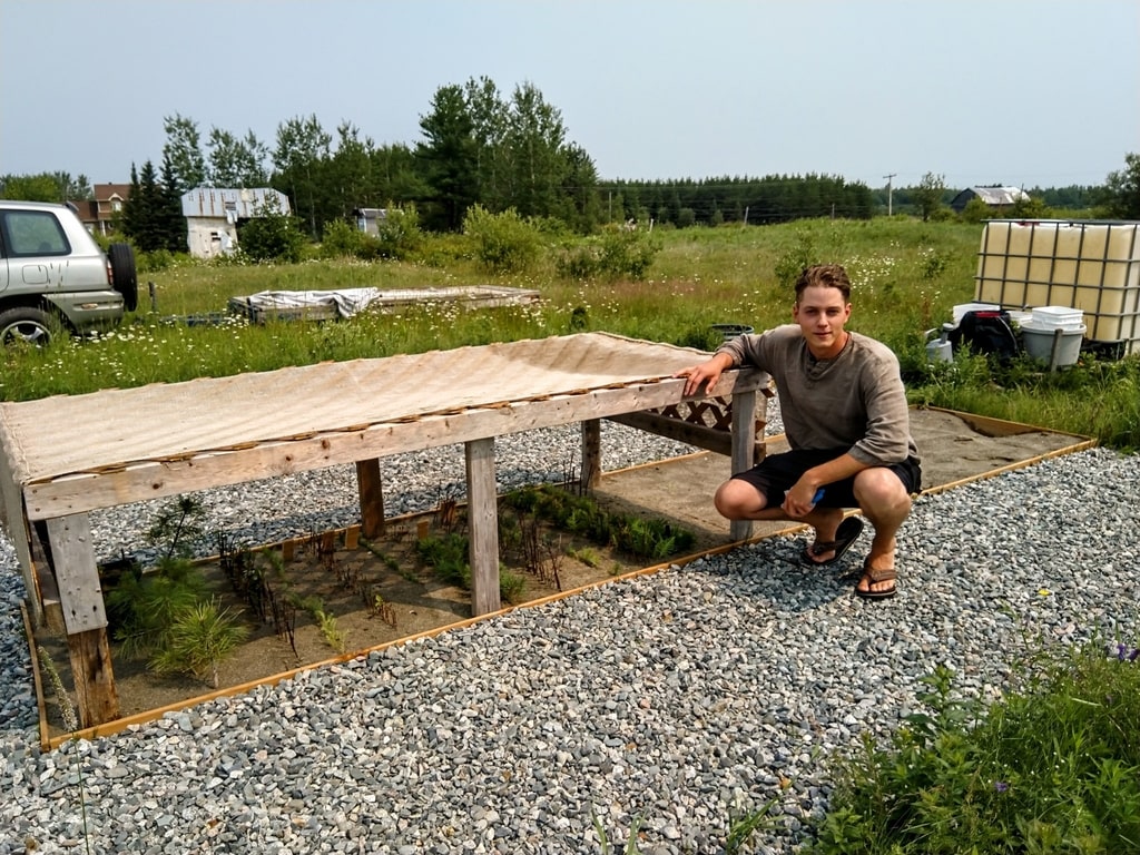 Pascal Yan Lessard Native Plant Nursery Pascal Yan Lessard Native Plant Nursery
