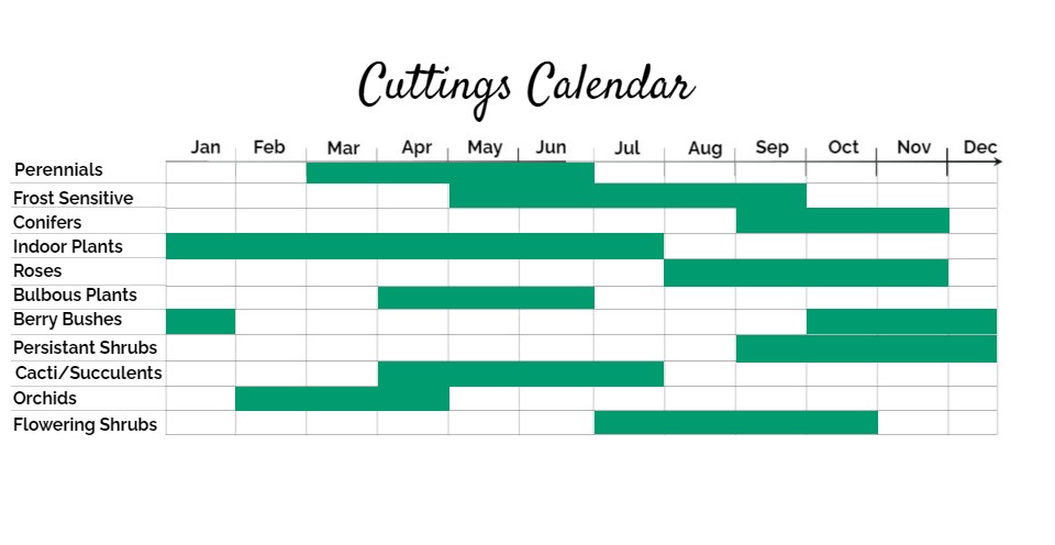 Plant-Propagation-Cuttings-Calendar