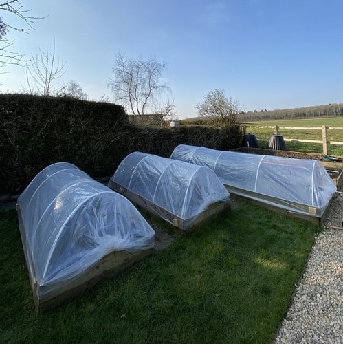 Tunnel-Greenhouse-for-Plant-Propagation