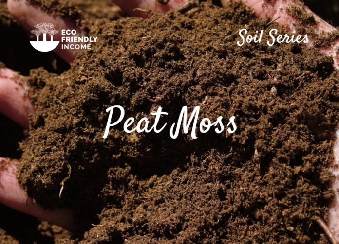 Peat Moss What's it's made of and what it's good for