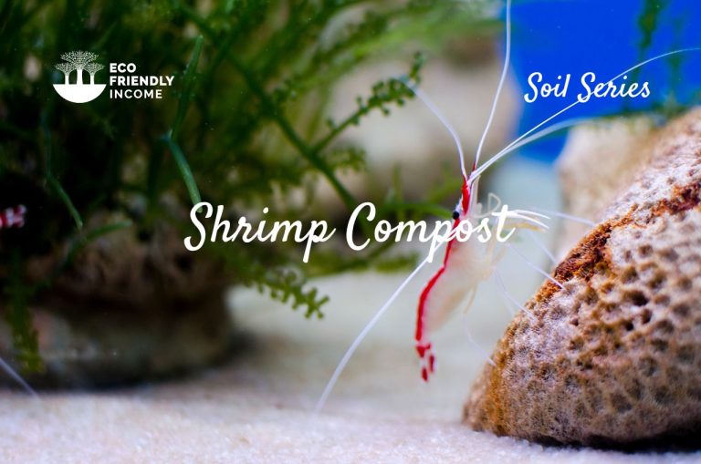 Shrimp Compost: What it’s Good For & When to Use It