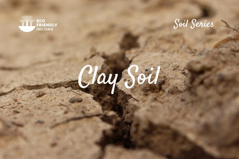 Clay Soil What its made of and what its good for