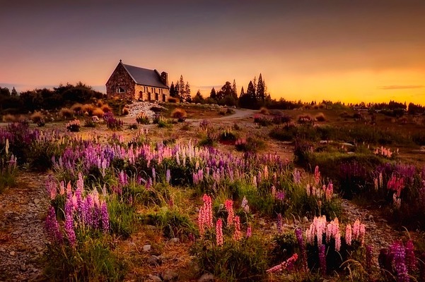 Homesteading – Eco Friendly homes Homesteading - Eco Friendly homes