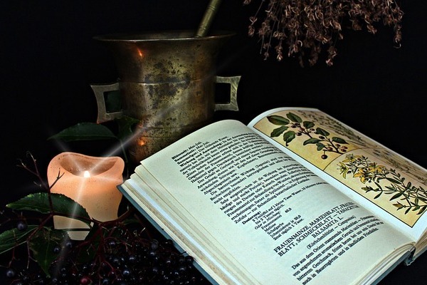 Homesteading – Natural Medicine Homesteading - Natural Medicine