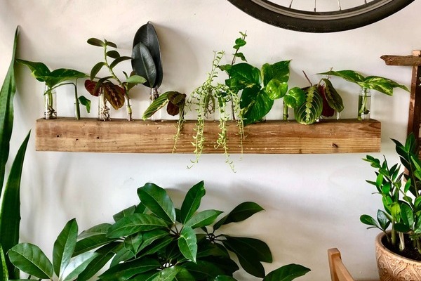 Propagation Stations how to (2) (1) Propagation Stations how to