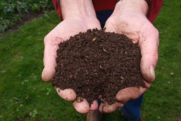 Shrimp Compost Shrimp Compost