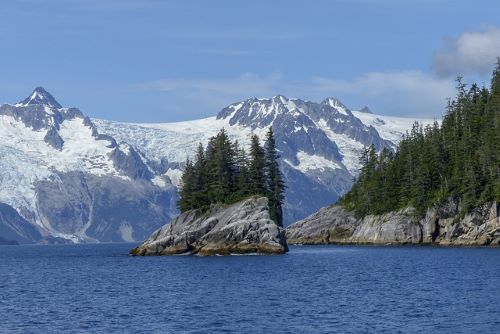 Alaska Peninsula Montane Taiga