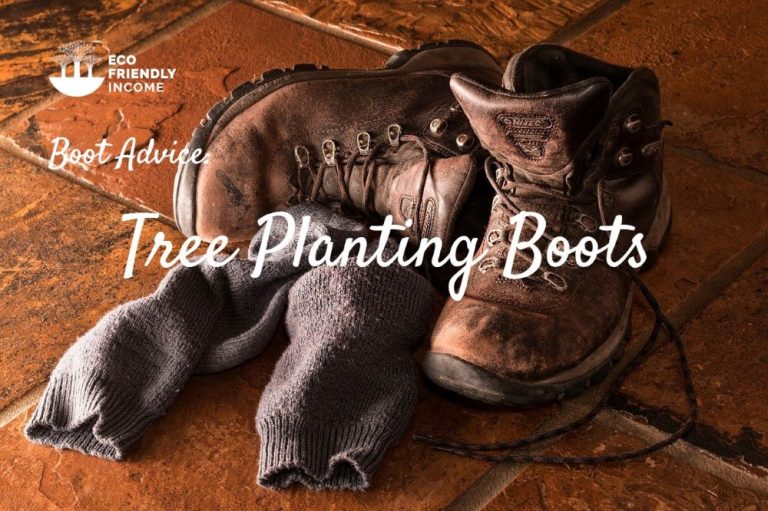 Best Boots for Tree Planting