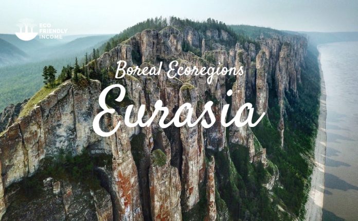 Boreal Ecoregions - Eurasia - Lena Pillars - Vsevolod Pulya