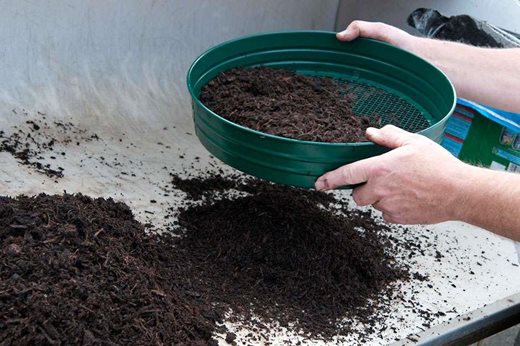 How to Propagate Viburnum - Seed Soil Preparation - Soil Sifting