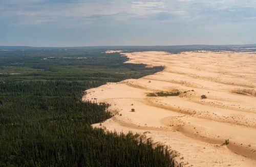 Midwesternl Canadian Forests