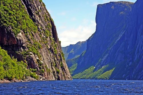 Newfoundland Highland Forests