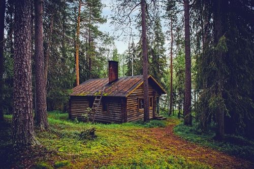 Scandinavian & Russian Taiga