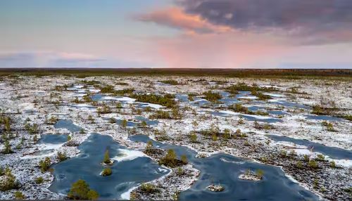 Western Siberian Taiga - Boreal Ecoregion