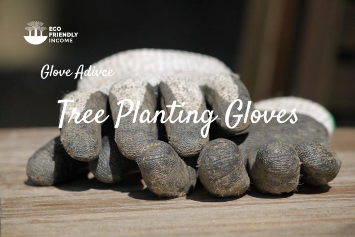 Best Gloves for Tree Planting x